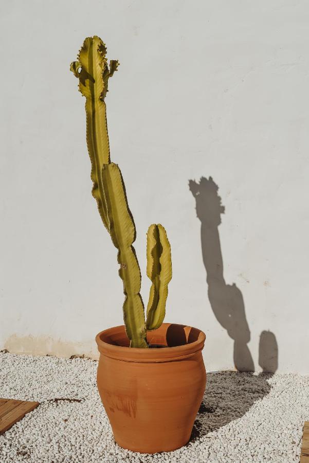 Comares Finca Elements المظهر الخارجي الصورة