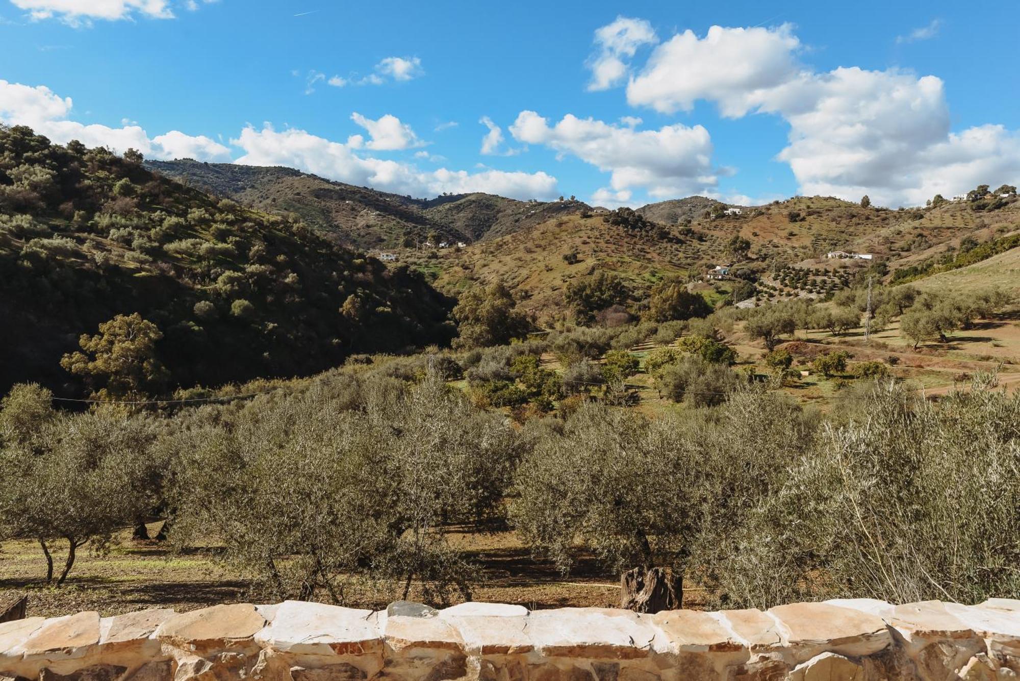 Comares Finca Elements المظهر الخارجي الصورة